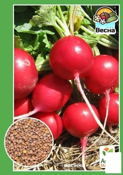 Редис "Сакса" Agro-Market 2г (10352)
