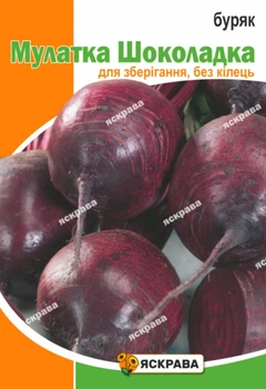 Семена Яскрава Свекла Мулатка Шоколадка 20 г (61001)