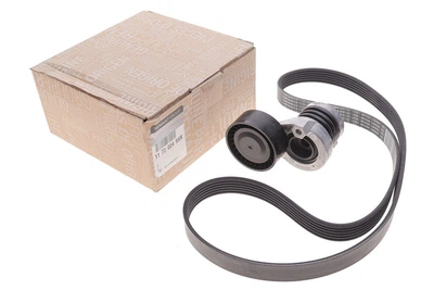 Ремень генератора ручейковый+ролик RENAULT 1.5 dCi (117202495R) 6PK1197