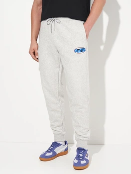 Спортивні штани утеплені чоловічі Puma Essentials Graphics 68818204 M Light Gray Heather (4069156535282)