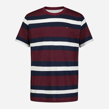 Підліткова футболка для хлопчика Tommy Hilfiger 916828998 152 см Різнобарвна (1159843469)