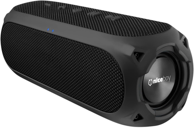 Przenośny głośnik Niceboy RAZE 3 Radion Black (8594182424249)