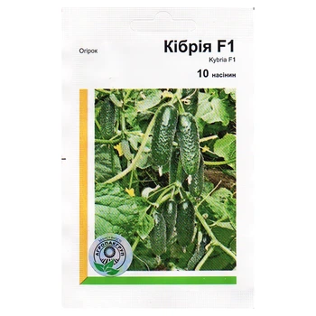 Семена огурца Кибрия F1 10 семян Rijk Zwaan, Голландия