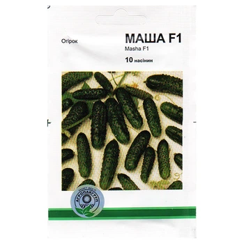 Семена огурца Маша F1 10 семян Seminis, Голландия