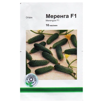 Семена огурца Меренга F1 10 семян Seminis, Голландия
