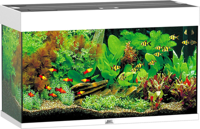 Zestaw akwariowy Juwel Rio 125 LED Biały (4022573014501)