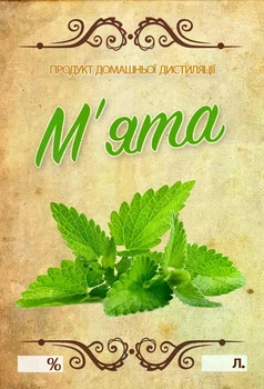 Наклейка на бутылку "Мята" 9×6 см (набор 5 шт.), стильные этикетки для оформления бутылок
