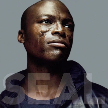 Музичний CD диск Seal – Seal IV 1cd (Фірмовий)
