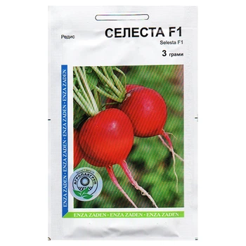 Семена редиски Селеста F1 3 г Enza Zaden, Голландия