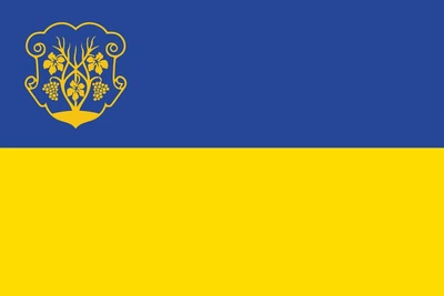 Флаг Ужгорода 150х90 см