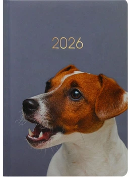 Ежедневник датированный Economix 2026 А5 (E21841)