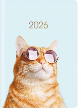 Ежедневник датированный Economix 2026 А5 (E21843)