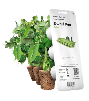 Змінний картридж Click&Grow карликовий горошок 3 капсули (4742793008998)