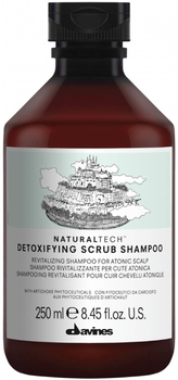 Szampon do włosów Davines Naturaltech Detoxifying oczyszczający 250 ml (8004608256533)