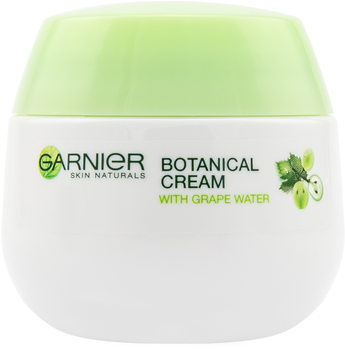 Krem nawilżający do twarzy Garnier Skin Naturals Botanical 50 ml (3600540360724)