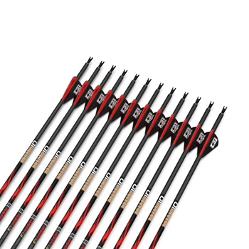 Стріла Sanlida Dragon 10 Hunting Compound Carbon 300 32"