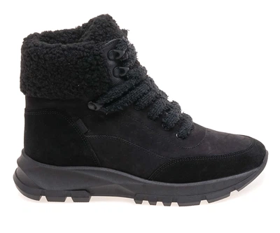 Черевики жіночі Goodboots 8641-75-ST/BLACK NUB 41 Чорний