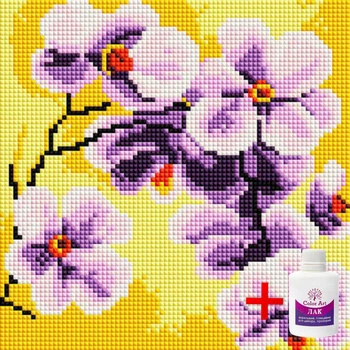 Набор алмазной мозаики с подрамником ColorArt Орхидеи 20х20 DDP1214 + Подарок лак для покрытия