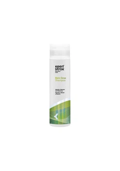 Шампунь для профилактики выпадения волос Bain Preventive Shampoo 250 мл Keen Strok