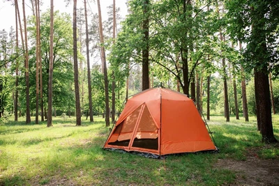 Шатер туристичний шестигранний 430х370х225 Lite Tramp Mosquito (TLT-009.02)