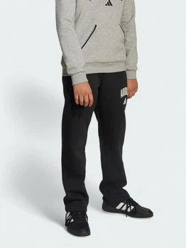 Детские теплые спортивные штаны на флисе для мальчика Adidas Essentials JM1538 128 см Black (4068808406345)