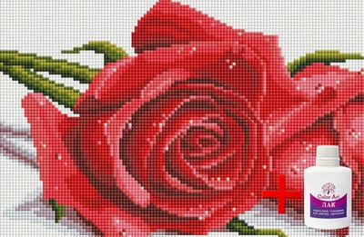 Набір для алмазної мозаїки на підрамнику ColorArt Троянди 20x30 DTP703 + Подарунок лак для покриття