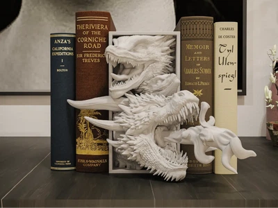 Drogon Book Nook