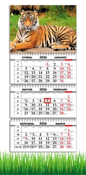 Календарь настенный квартальный на 2026 год на три пружины, Apriori , Тигр, Природа , 29,7х61см