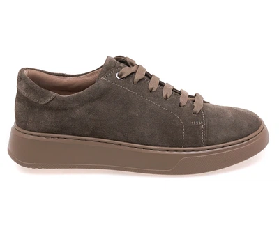 Кеди жіночі STEPTER 8806/BROWN WELL 39 Коричневий