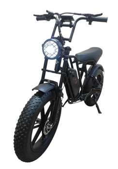 Электровелосипед фет байк E-Kam 20" 1000W 19Ah PAS Черный модель 2025г