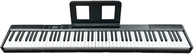 Цифровое пианино (в комплекте с чехлом) Musicality FP88-BK _FirstPiano