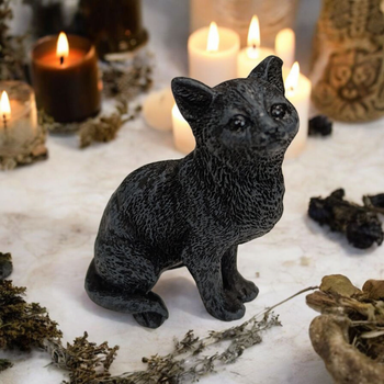 Чорний котик на вдачу. Котик сидить 1 01857
