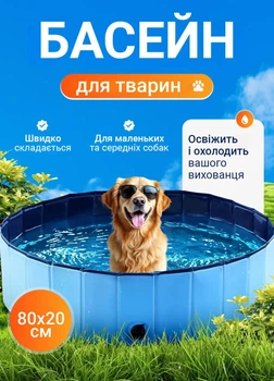Складной бассейн для собак и кошек 80×20см — для купания дома или на улице