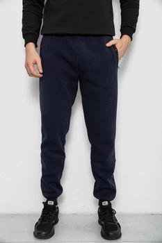 Спортивні штани AGER 4XL Синій 244R41526