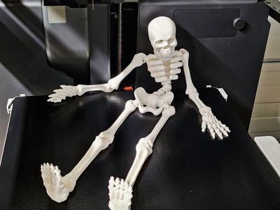 Flexi Skeleton антистрес