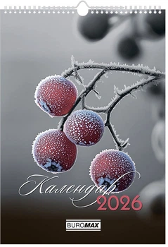 Настінний календар Buromax Emphasis on color 1 пружина А3 на 2026 рік (BM.210602)