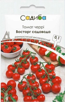 Семена Томат Восторг садовода 0,1 г Садыба