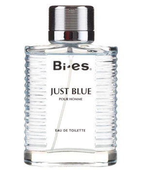 Туалетная вода мужская Bi-es Just Blue Pour Homme 100мл