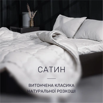 Одеяло антиаллергенное MirSon Silver Cloud №1001 Thinsulate 220x240 см Деми (2200010352450)