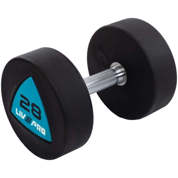 Гантели цельные LiveUp LP8002-28 28 кг 2 шт Черно-синий (LP8002-28)