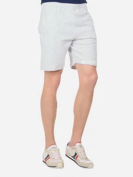Шорты хлопковые мужские Fruit of the loom 064036094 Lightweight XL Серые (5000000007516)