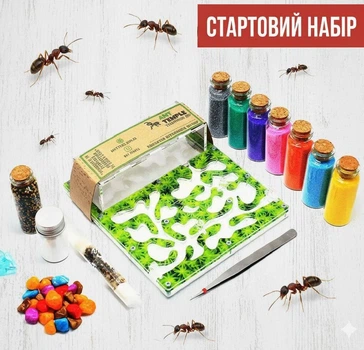 Муравьиная ферма Формикарий для муравьев Мурашина ферма 180*160*50 Стартовый набор "Mini-зелень" Messor structor Муравьиный дом