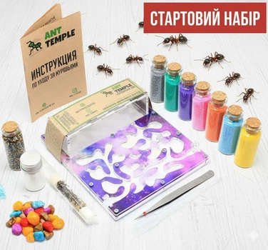 Муравьиная ферма Формикарий для муравьев Мурашина ферма 180*160*50 Стартовый набор "Mini-космос" Messor structor Муравьиный дом