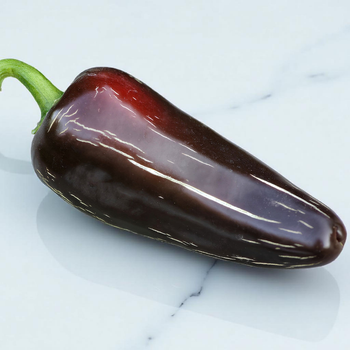 Семена Перец острый Халапеньо Black Moroccan, Capsicum Annuum 5 шт/уп