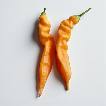 Семена Перец острый Bolivian Orange, Capsicum baccatum 5 шт/уп