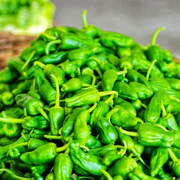 Семена Перец острый Падрон, Capsicum annuum 5 шт/уп