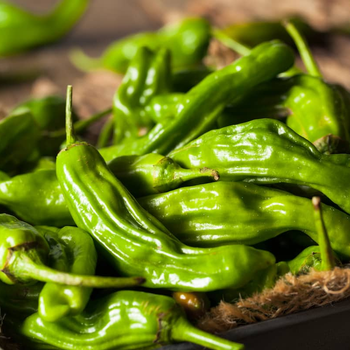 Семена Перец острый Шишито, Capsicum annuum 5 шт/уп