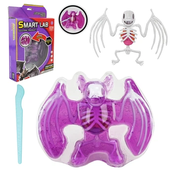 ｖｉｊｋａｎ　8点セット Лабораторний набір кажан – вивчення анатомії Star Toys Factor Co