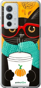 Чехол на OnePlus 9RT Осенний кот "4026u-2520-70447"