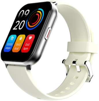 Smartwatch HiFuture Zone 2 Silver-Grey (zone2.silver)